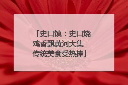 史口镇：史口烧鸡香飘黄河大集 传统美食受热捧